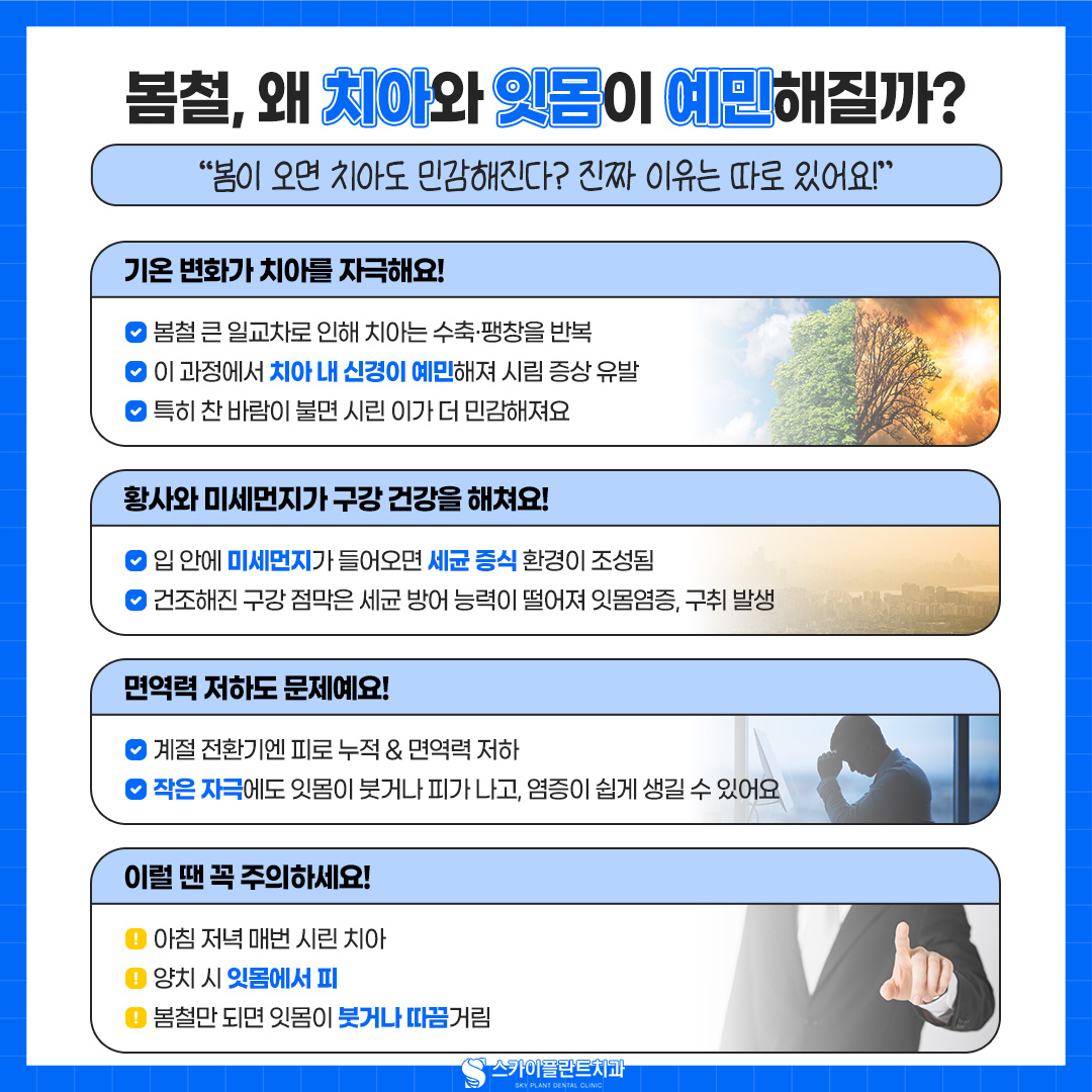 봄철 치아관리
