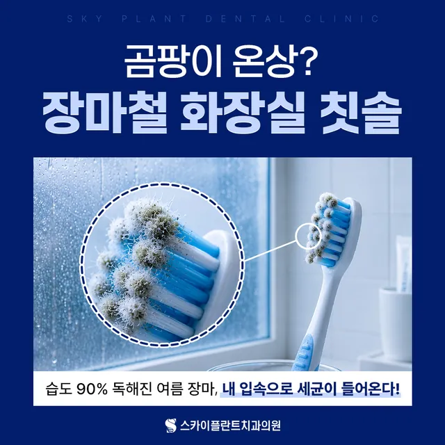 올바른 칫솔 관리법